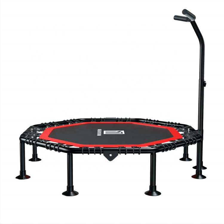 Trampoline with Adjustable Han - Home Bar And Gym 리뷰 및 가격