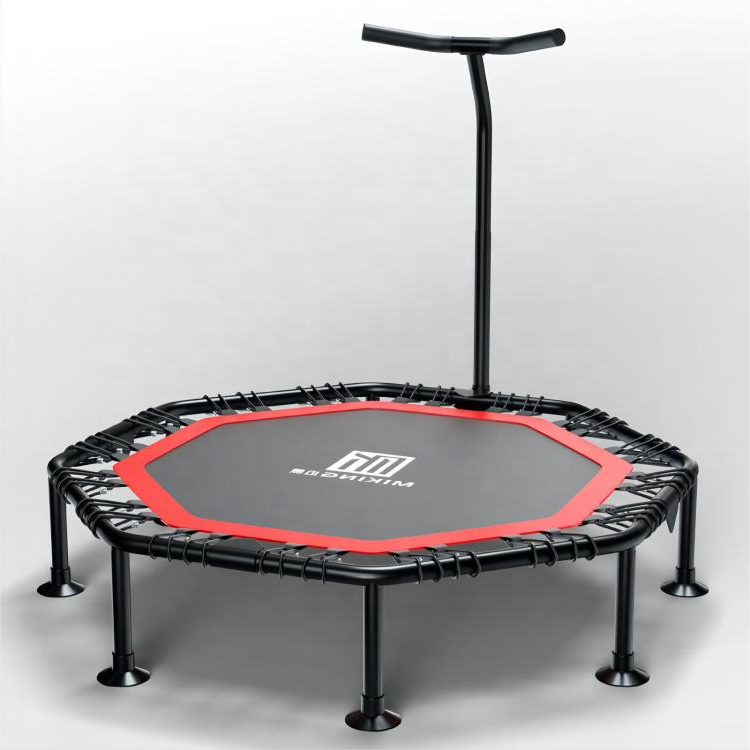 Trampoline with Adjustable Han - Home Bar And Gym 리뷰 및 가격
