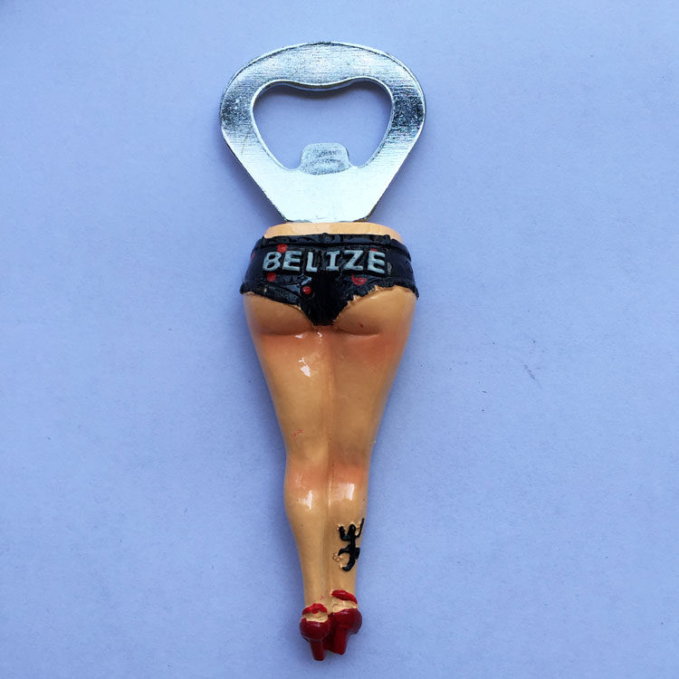 Belize Travel Commemorative Re - Home Bar And Fridge 리뷰 및 가격